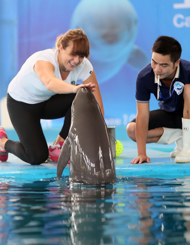 多的进攻机 多的进攻机