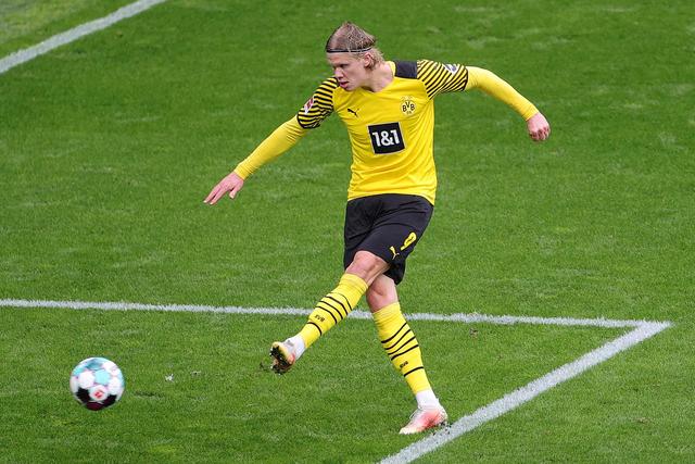 动保河道视 动保河道视